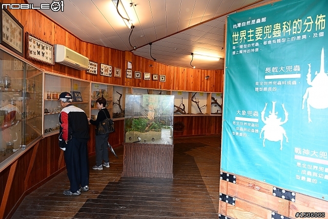 獨角仙農場：旅遊開心，但隨時都要很小心。