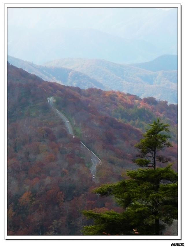 [SKYWAVE TYPE-S]福島縱斷紅葉之旅