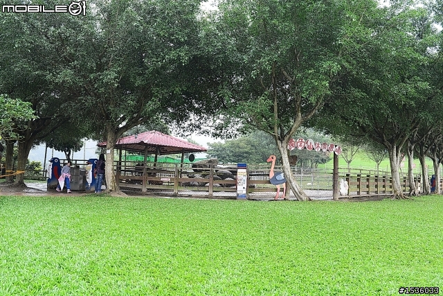 獨角仙農場：旅遊開心，但隨時都要很小心。