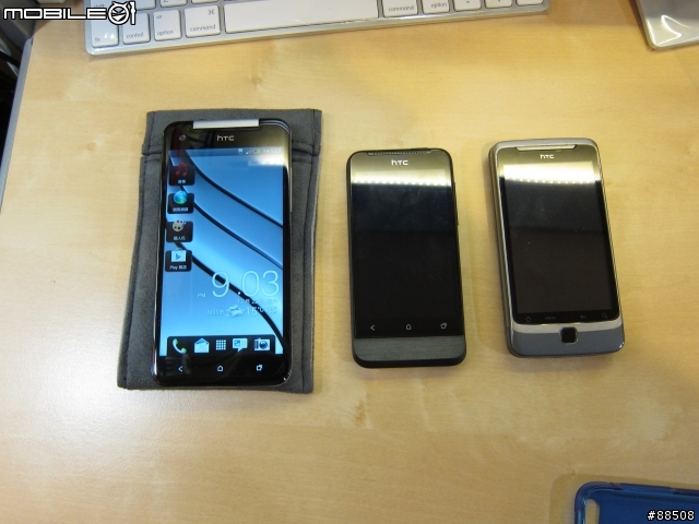 分享～白蝴蝶飛來嘞！