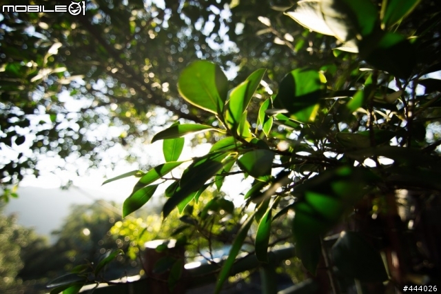 20121220世界末日前一天，我敗了一顆超廣角XD( Tokina T116 一代for Sony A33)