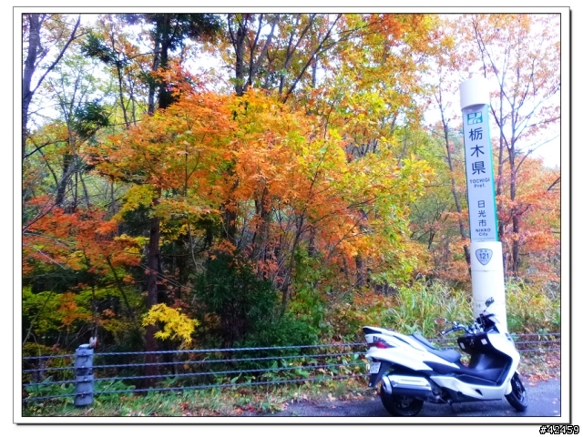 [SKYWAVE TYPE-S]福島縱斷紅葉之旅