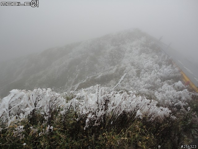 圓一群熱血青年的夢，12/11~12/12，武嶺巧遇雪景二日遊。