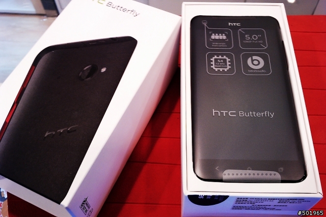 黑蝴蝶終於飛到我家了!!!