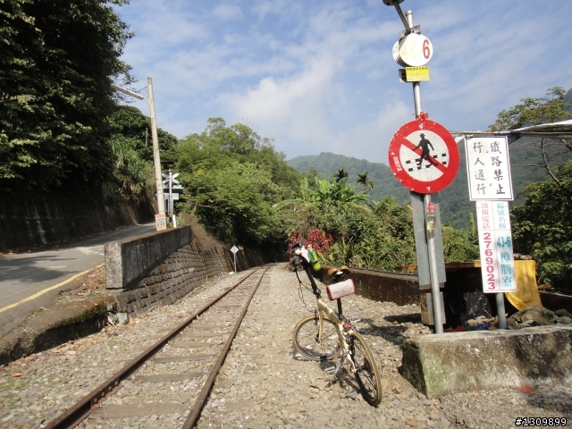 追火車，阿里山森林鐵路通車一百周年慶生活動