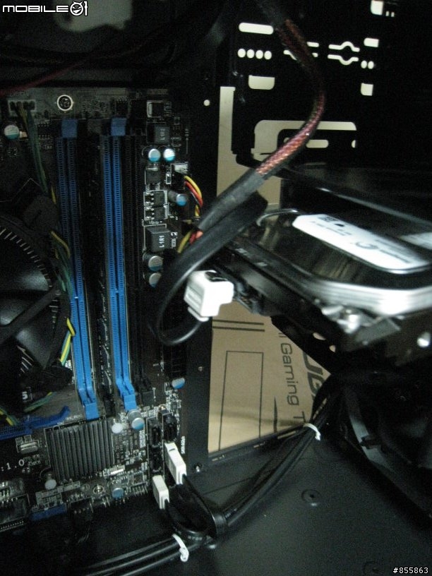 COUGAR 5SS7 核彈頭 歲末引爆 !!