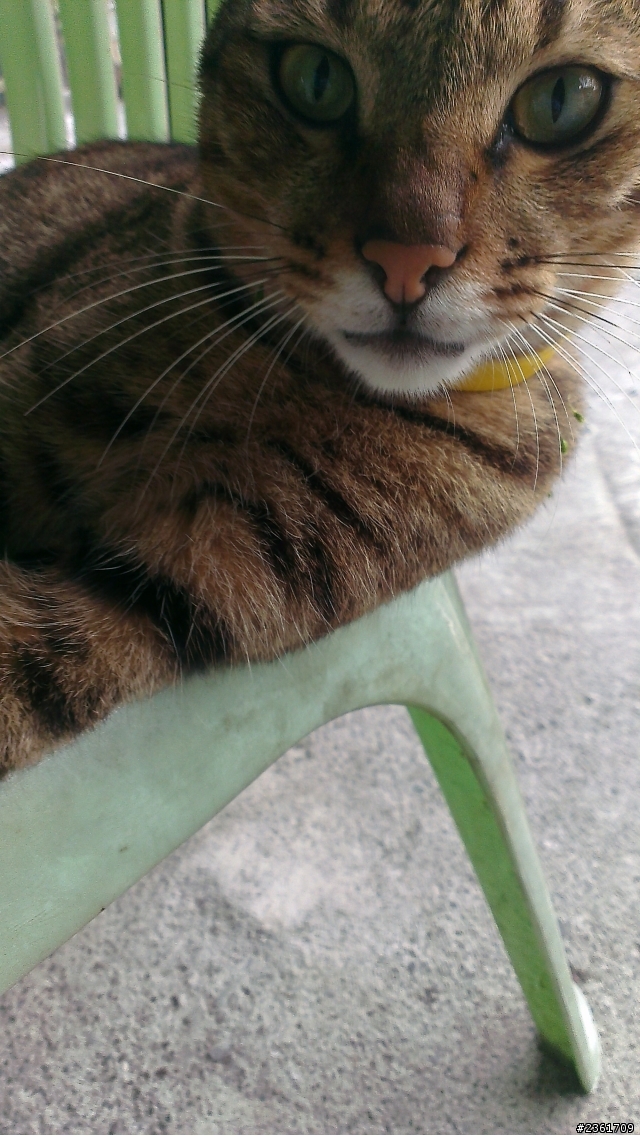 HTC One X+ 久違開箱與心得文(文稍多)