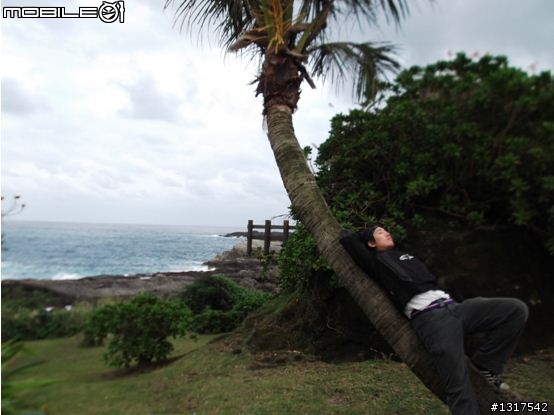 瘋狂小忍者之東遊記