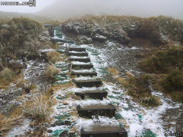 圓一群熱血青年的夢，12/11~12/12，武嶺巧遇雪景二日遊。