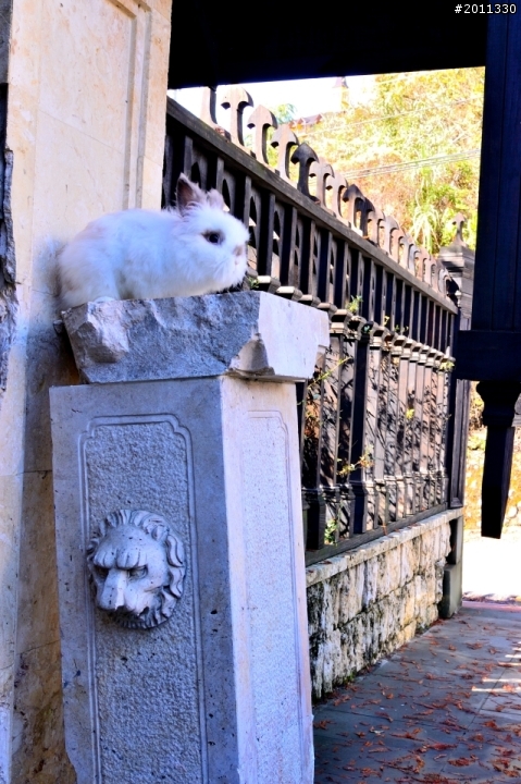 帶著孩子去旅行