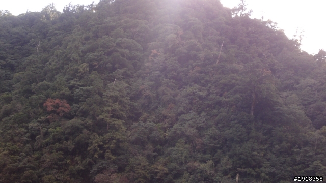 scirocco小白環島失敗改成橫渡北橫之旅