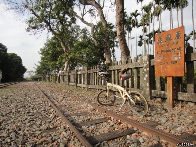 追火車，阿里山森林鐵路通車一百周年慶生活動