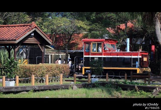 6D超簡易開箱~12/15動物園補圖!