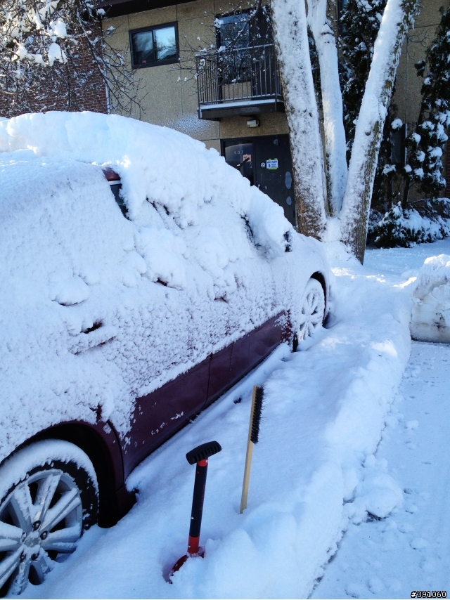 馬雅世界末日前，我與Legacy在2012第一場暴風雪