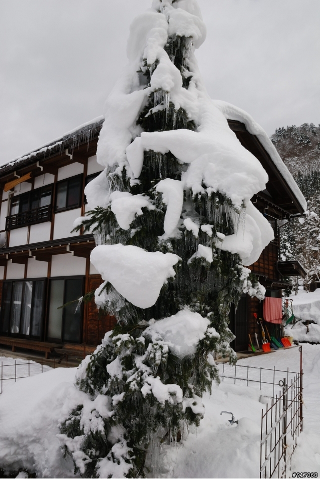 [冬之日本中部山區自助行]-夢幻童話小屋~合掌村(荻町/菅沼聚落)照片分享
