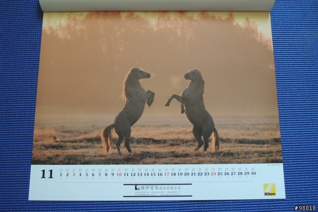 Nikon 2013年單眼相機月曆
