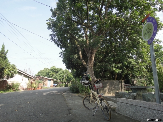 追火車，阿里山森林鐵路通車一百周年慶生活動