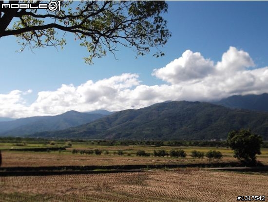 瘋狂小忍者之東遊記