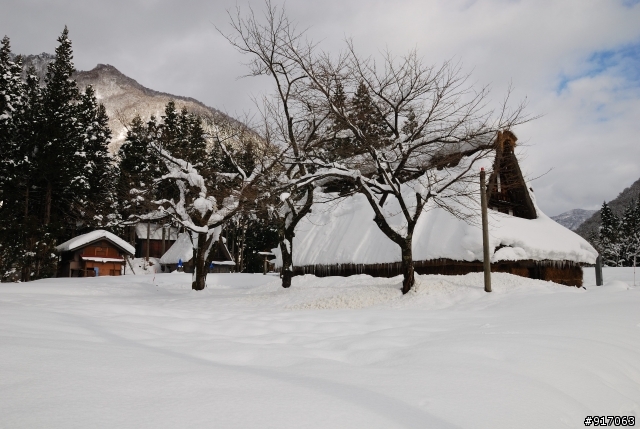 [冬之日本中部山區自助行]-夢幻童話小屋~合掌村(荻町/菅沼聚落)照片分享