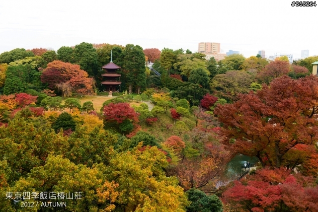 2012日本紅葉繽紛賞楓行 by D800+NEX5