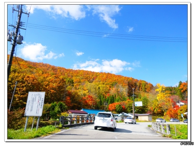 [SKYWAVE TYPE-S]福島縱斷紅葉之旅