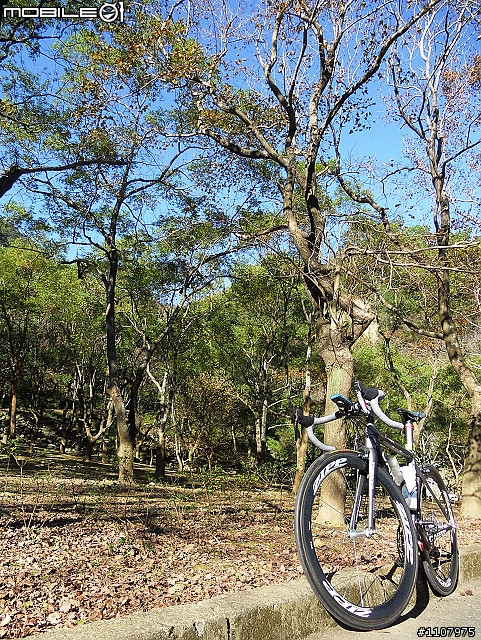 [Z進化分享]Zipp Series + Carrera Veleno