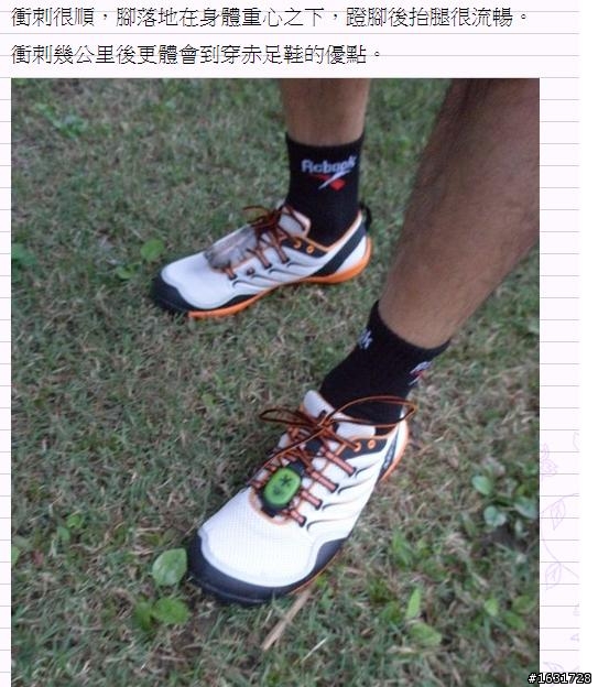 MERRELL TRAIL GLOVE 赤足跑鞋 測試報告