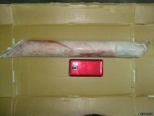 哇 蝴蝶下水了