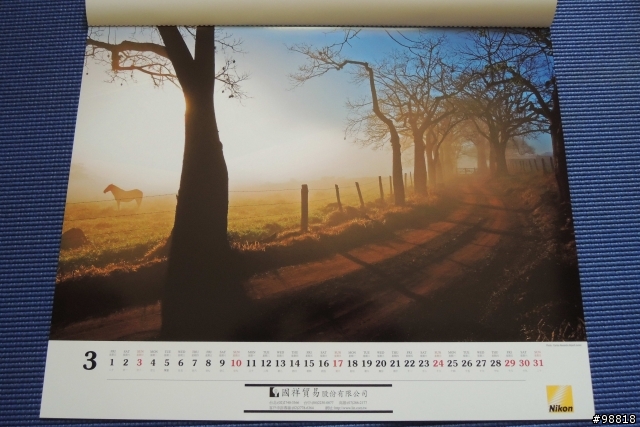 Nikon 2013年單眼相機月曆
