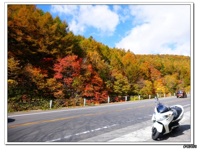 [SKYWAVE TYPE-S]福島縱斷紅葉之旅