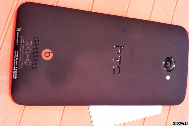 黑蝴蝶終於飛到我家了!!!