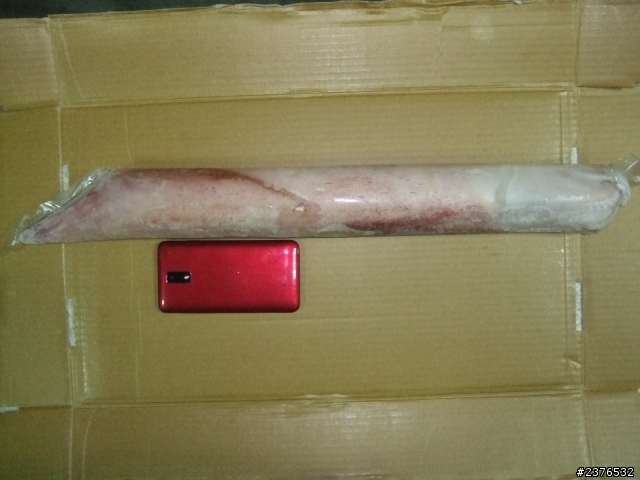 哇 蝴蝶下水了