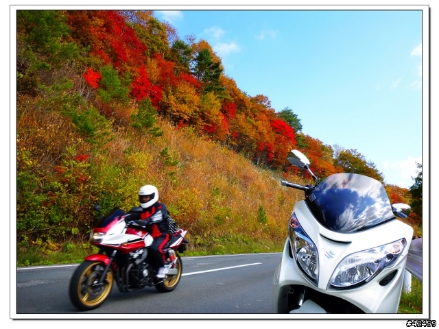 [SKYWAVE TYPE-S]福島縱斷紅葉之旅