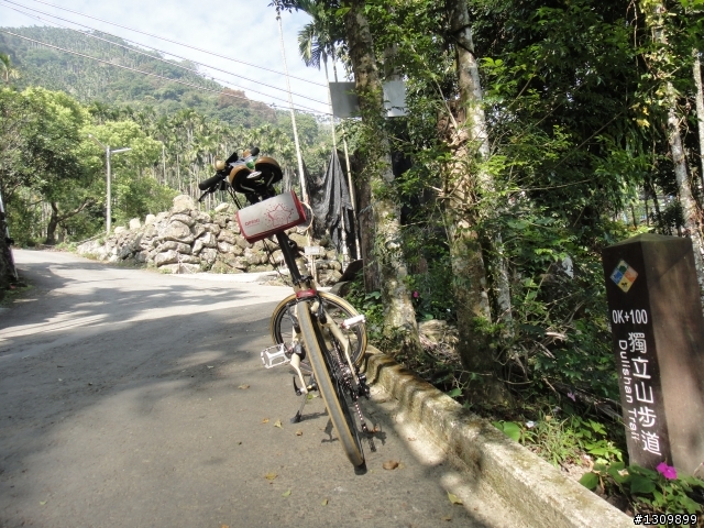 追火車，阿里山森林鐵路通車一百周年慶生活動