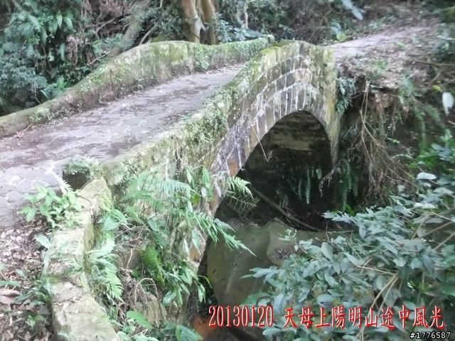 20130120  圓山2013台北花卉展 陽明山菁山路賞櫻之旅