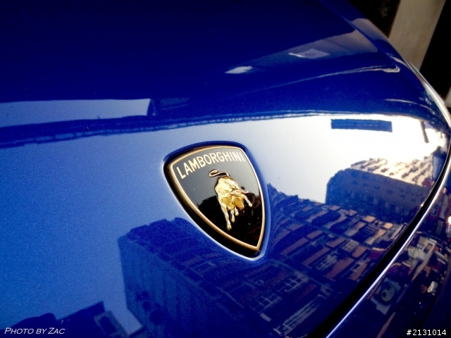 完美雙色~LP560-4 Bicolore