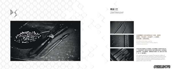 Citroën DS系列 (圖多慎入)