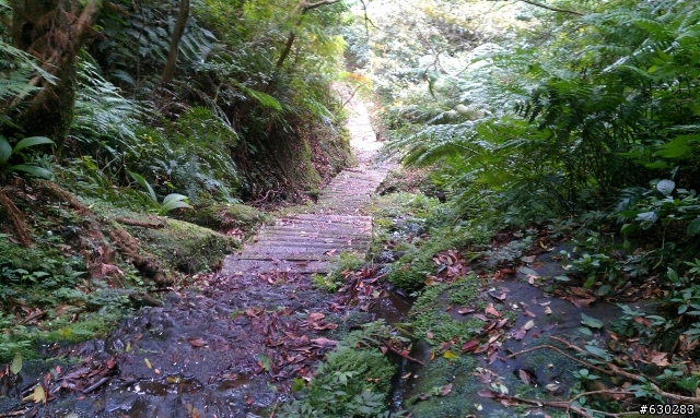 20130121 永定煤礦 永定坑山 鳥嘴岩 鳥嘴山 皇帝殿北峯登山口 O型健走