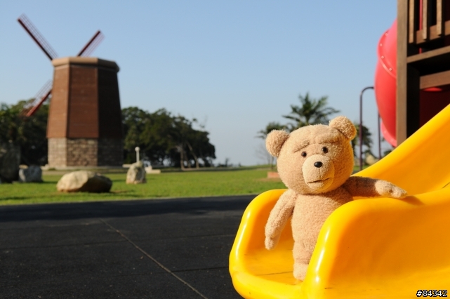 TED (圖多)