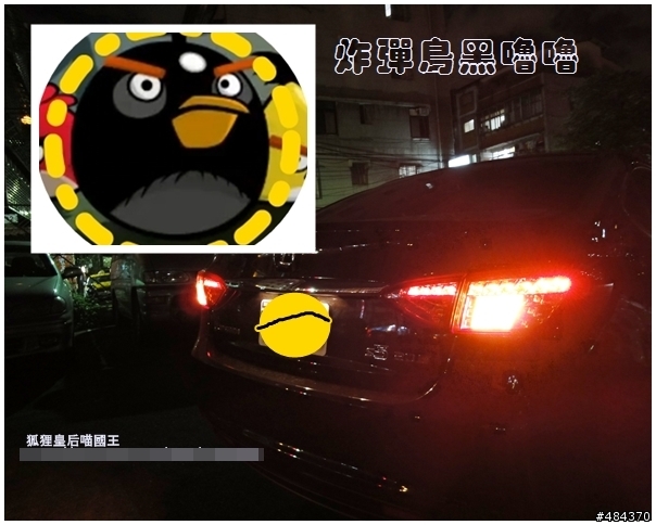 狐狸皇后喵國王之 黑色ANGER BIRD 的逆襲