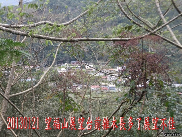 20130121  烏來福山賞櫻之旅
