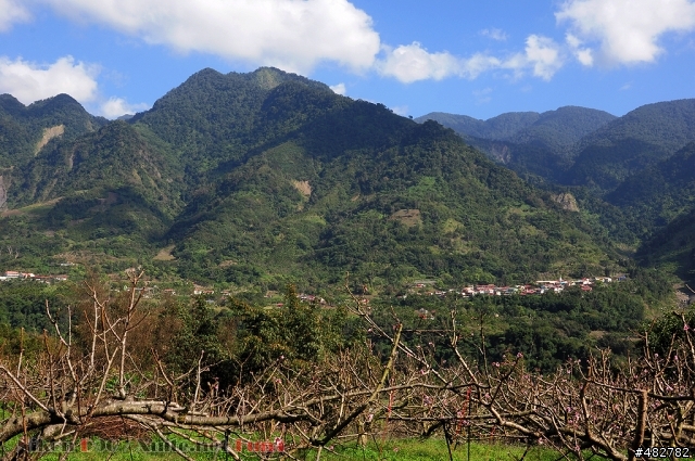 高雄那瑪夏(三民鄉)至阿里山山路