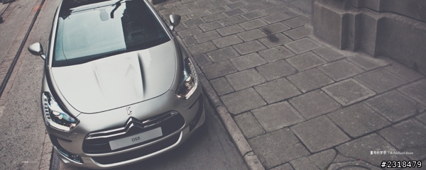 Citroën DS系列 (圖多慎入)