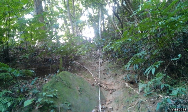 20130121 永定煤礦 永定坑山 鳥嘴岩 鳥嘴山 皇帝殿北峯登山口 O型健走