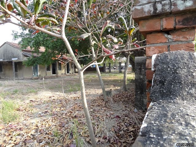 親子旅遊-發現柳營之美