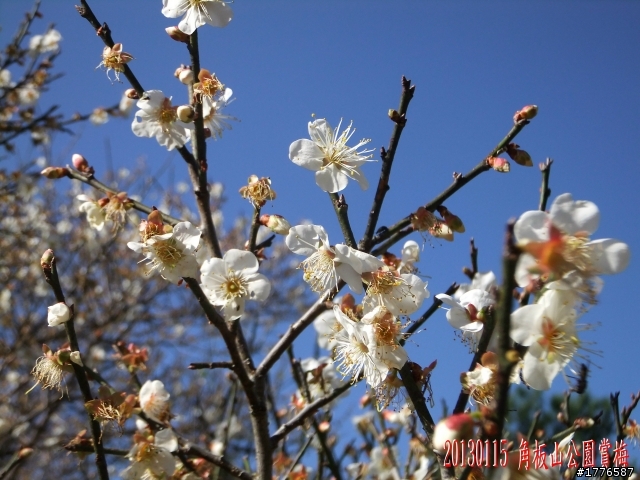 20130115  角板山石門水庫之旅