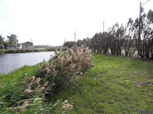 親子旅遊-四草安平行