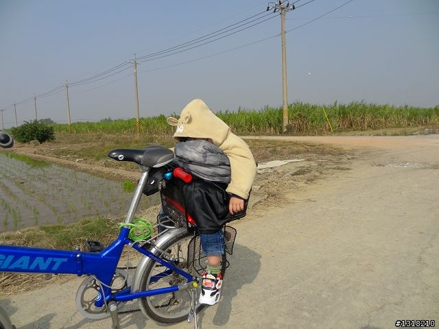 親子旅遊-發現柳營之美