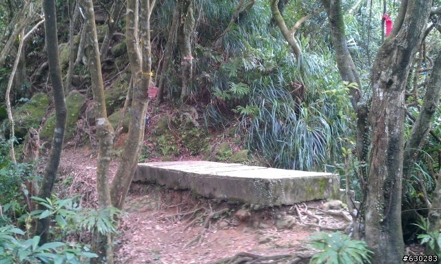 20130121 永定煤礦 永定坑山 鳥嘴岩 鳥嘴山 皇帝殿北峯登山口 O型健走