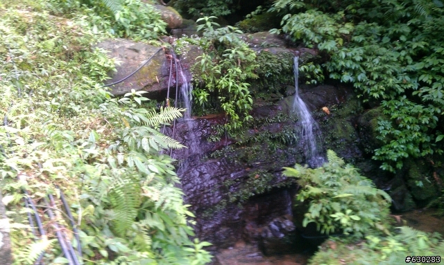 20130121 永定煤礦 永定坑山 鳥嘴岩 鳥嘴山 皇帝殿北峯登山口 O型健走
